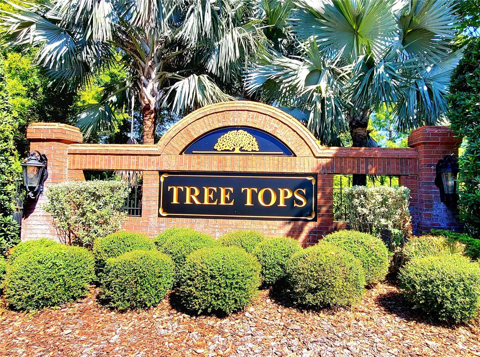 TREE TOPS PH 1 - Residential
