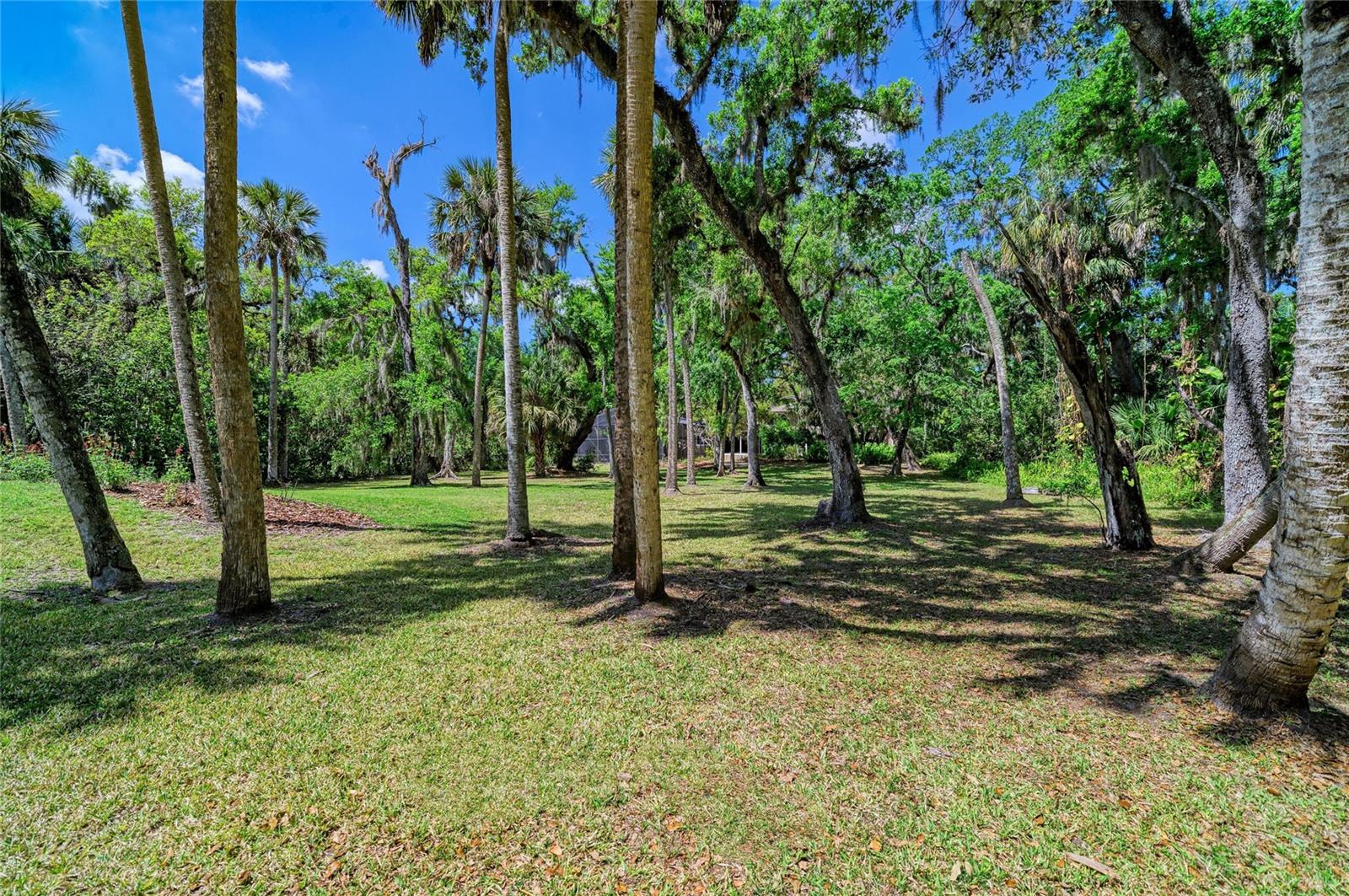 BRADEN OAKS - Residential