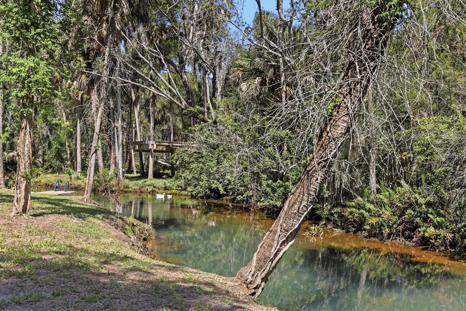 This is a once-in-a-lifetime opportunity to own a true Florida paradise and build your dream home on a rare spring-fed waterfront lot. This beautiful residential building site offers 68 feet of frontage on a crystal-clear 74-degree freshwater spring run connecting Little Salt Spring and Palm Grove Colony Spring. The spring run flows into the Mud River and eventually reaches the Gulf of Mexico through Bayport Channel, creating a truly unique waterfront setting unlike anything else on the Nature Coast.

Imagine stepping out your back door and floating with the gentle spring current year-round. Swim, tube, paddleboard, kayak, or simply relax while surrounded by the peaceful beauty of one of Hernando County’s hidden natural treasures. The spring-fed creek provides endless entertainment for family, guests, or future vacation renters while creating a serene old Florida atmosphere filled with native palms, coastal marshlands, wildlife, and scenic water views.

This property offers the flexibility buyers are looking for with no HOA, short-term rentals allowed, no required timeframe to build, and no designated builder restrictions. Whether you are looking to build a full-time residence, vacation getaway, or investment property, this lot offers unlimited potential. A fixed bridge limits large boat access, but the spring run still connects to the Mud River and Gulf waters for kayaking, fishing, and small watercraft adventures.

Little Salt Spring is known for its clear spring water, untouched coastal beauty, and relaxed waterfront lifestyle. Kayakers, anglers, paddleboarders, and outdoor enthusiasts are drawn to the area’s peaceful surroundings and abundant wildlife. Manatees, dolphins, shorebirds, and native fish are commonly seen throughout the waterways, creating a true Florida nature retreat.

Welcome to Palm Grove Colony, a charming spring-fed riverfront community tucked away in Hernando County just 60 minutes north of Tampa International Airport with convenient access via the Suncoast Parkway. Hidden away from the congestion of US-19 and SR-50, this community feels like stepping back into old Florida where life revolves around the water and nature. One of the community’s greatest features is resident access to the community-owned Little Salt Spring, adding even more value and recreational opportunities.

At the heart of the area is the scenic Mud River, a spring-fed waterway flowing approximately three miles to the Gulf at Bayport. Nearby, the famous Weeki Wachee River adds to the region’s appeal with its crystal-clear spring water and legendary mermaid attraction that has captivated visitors since the 1940s.

Outdoor recreation opportunities are endless with boating, fishing, kayaking, scalloping, snorkeling, paddleboarding, wildlife watching, and unforgettable manatee encounters all nearby. Palm Grove Colony offers a rare opportunity to experience the timeless beauty of Florida’s Nature Coast while building the Gulf Coast fishing and waterfront home you have always dreamed about.