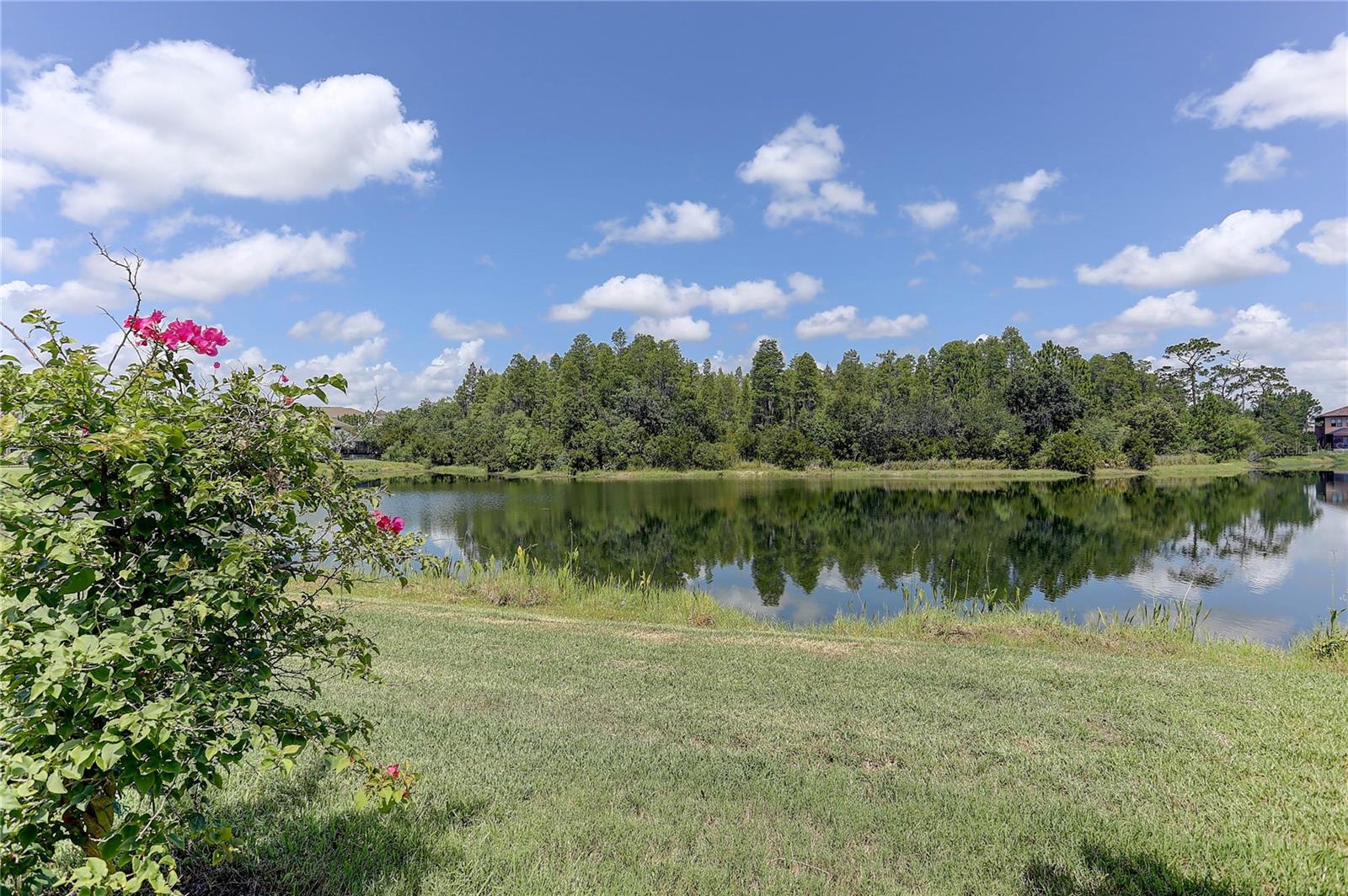 PROMENADE AT LAKE PARK PH - Residential