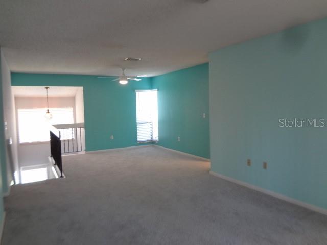 WOODHAVEN AT PALM COAST - Residential