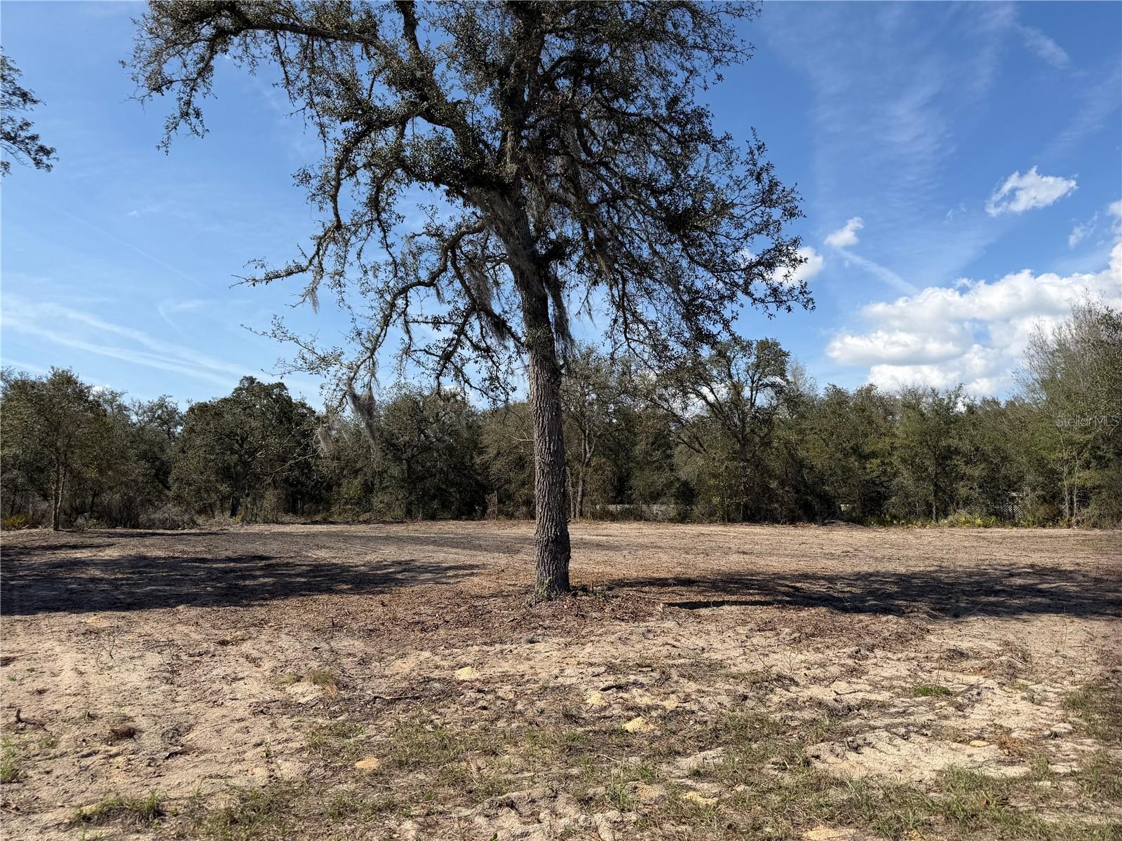 BACK ON THE MARKET! PAVED AND CLEARED! Build your dream home on this beautiful 1.36 acre cleared lot in Bronson! Situated on a paved road in desirable Levy County, this property is ready for your site built home, manufactured home, or barndominium. Enjoy the benefits of lower county taxes and utilities while still having plenty of space to spread out and create your ideal country retreat. Conveniently located just a short drive from Gainesville, you’ll have quick access to shopping, dining, and medical facilities while still enjoying the peaceful, quiet surroundings of rural living. Whether you're looking to build now or invest for the future, this versatile parcel offers the perfect blend of convenience and tranquility.