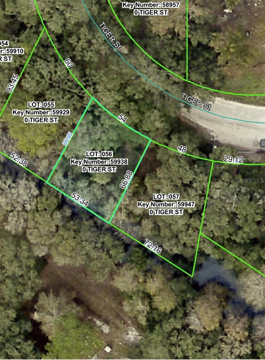 This .10 acre parcel that is the easement for the power lines. Zoned R1A. You cannot build on it...but you can play on it and use it for your enjoyment. Best buyer is a home-owner whose lot adjoins it or hold it for possible future investment.
The power company must have access to it at all times for maintenance. Cash only. The property is being transferred with a quit claim deed with no owner's title policy, and if the buyer wants any other deed or title policy, they have to pay for those closing costs