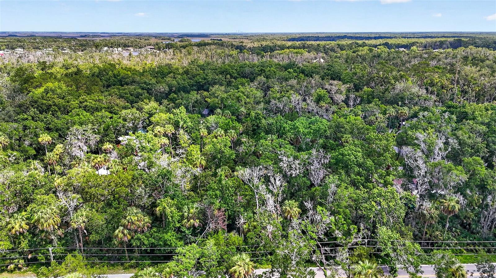 BLUE RIVER COVE SPRING COVE - Land