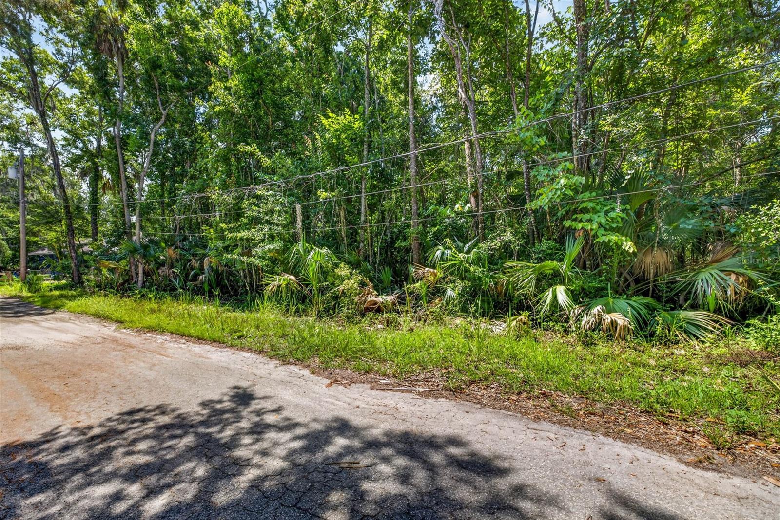 BLUE RIVER COVE SPRING COVE - Land