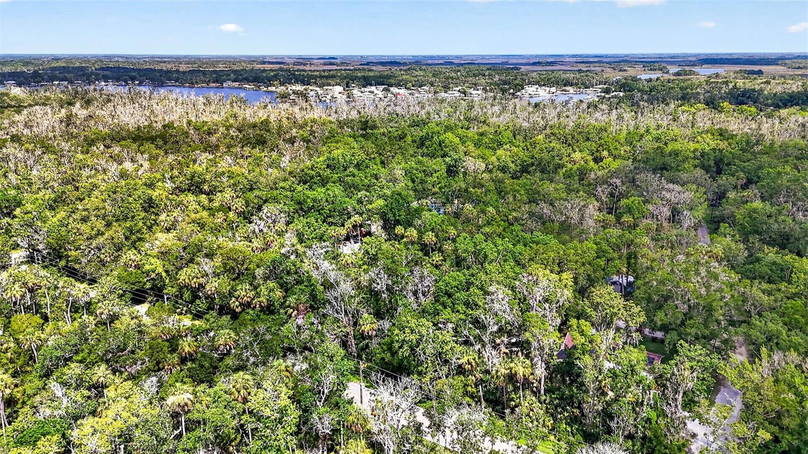 BLUE RIVER COVE SPRING COVE - Land