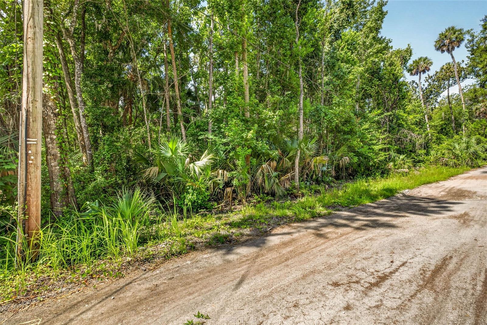 BLUE RIVER COVE SPRING COVE - Land