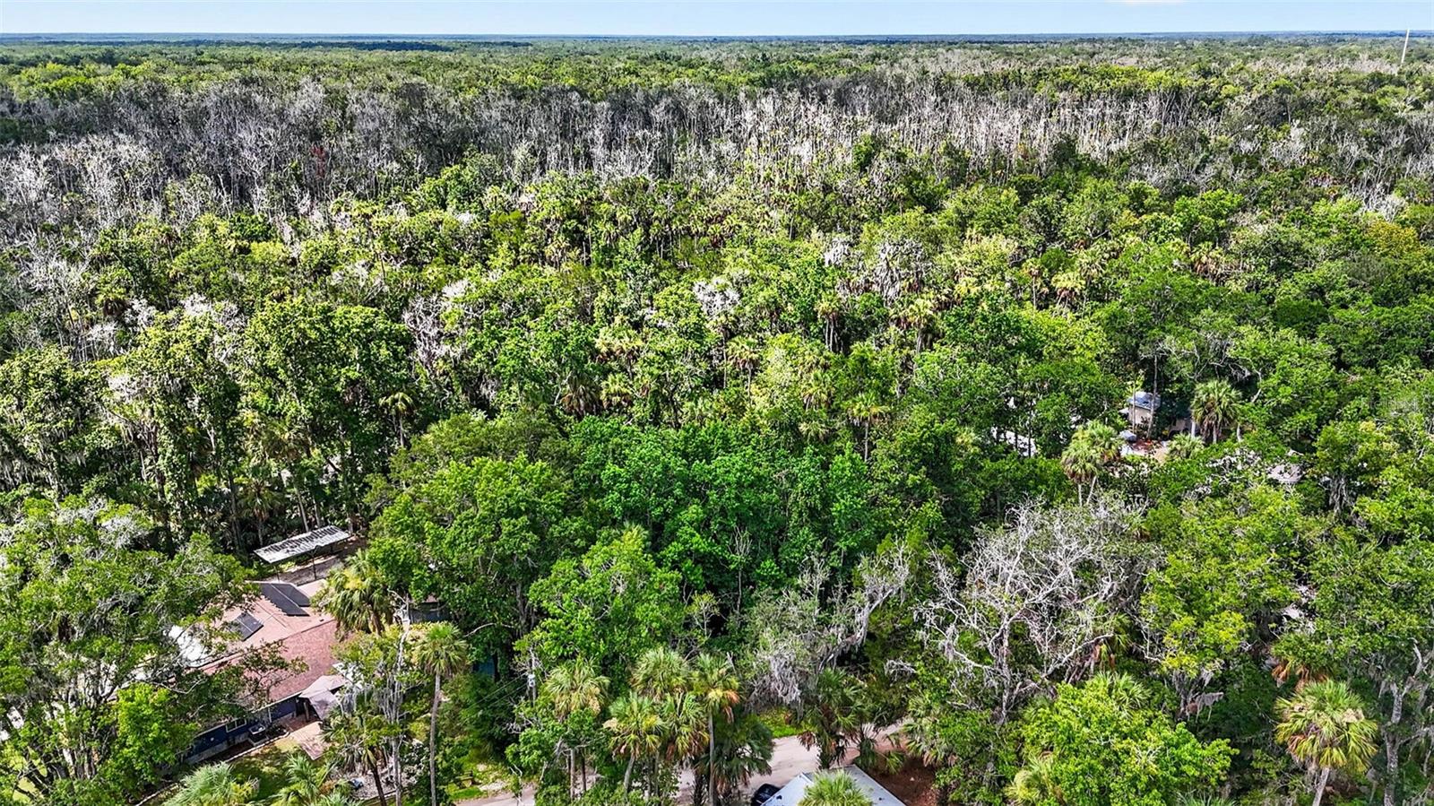 BLUE RIVER COVE SPRING COVE - Land