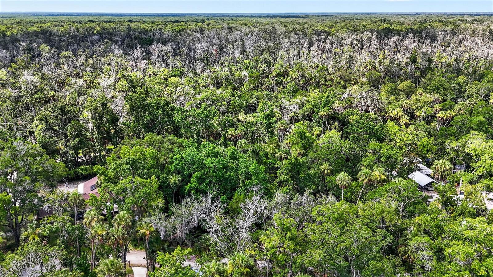BLUE RIVER COVE SPRING COVE - Land