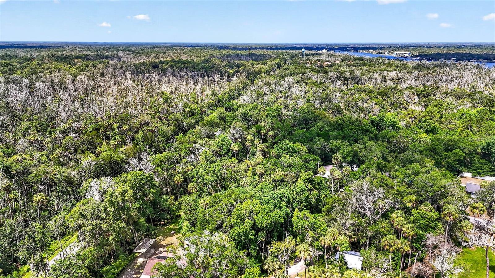 BLUE RIVER COVE SPRING COVE - Land