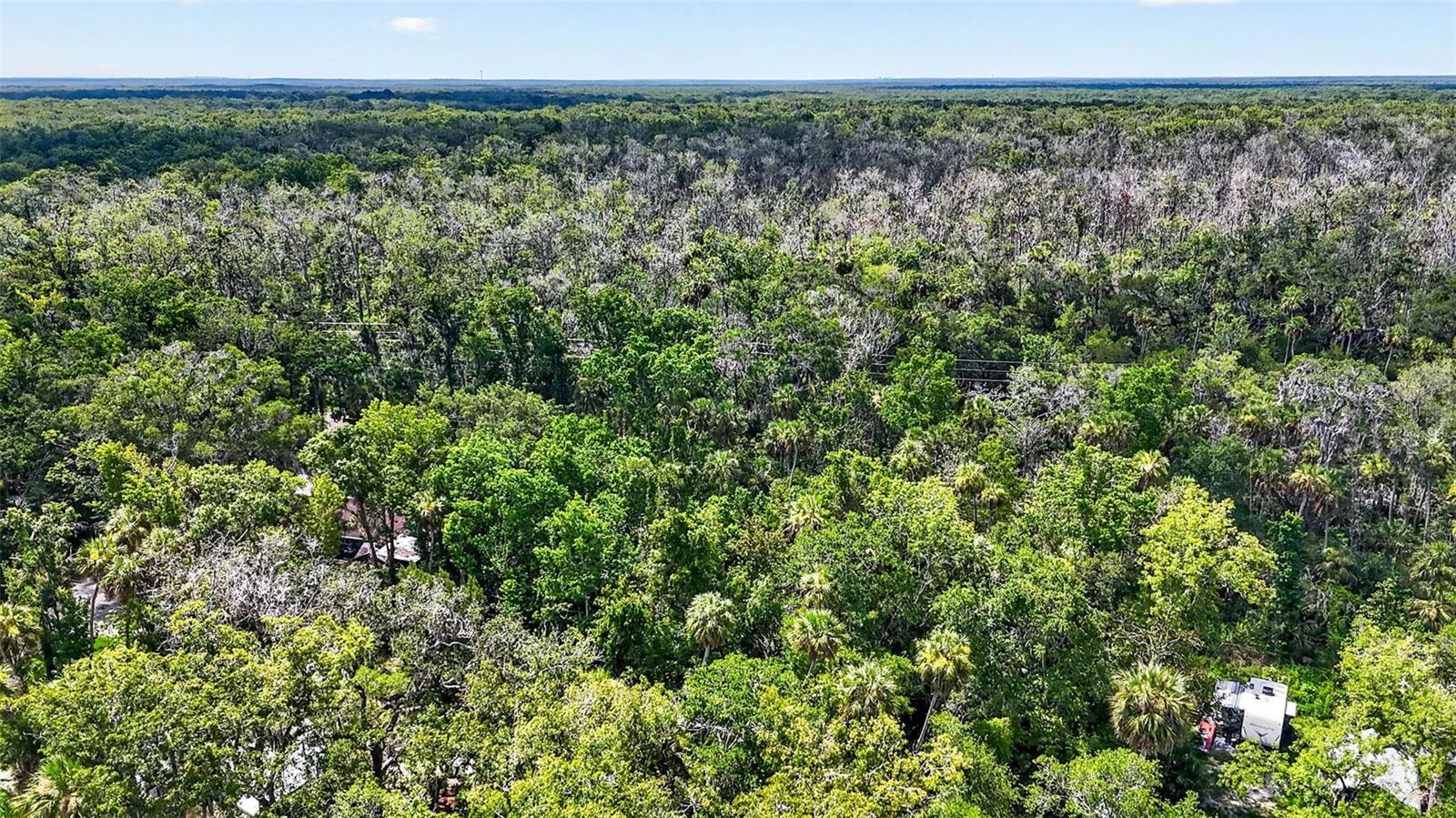 BLUE RIVER COVE SPRING COVE - Land