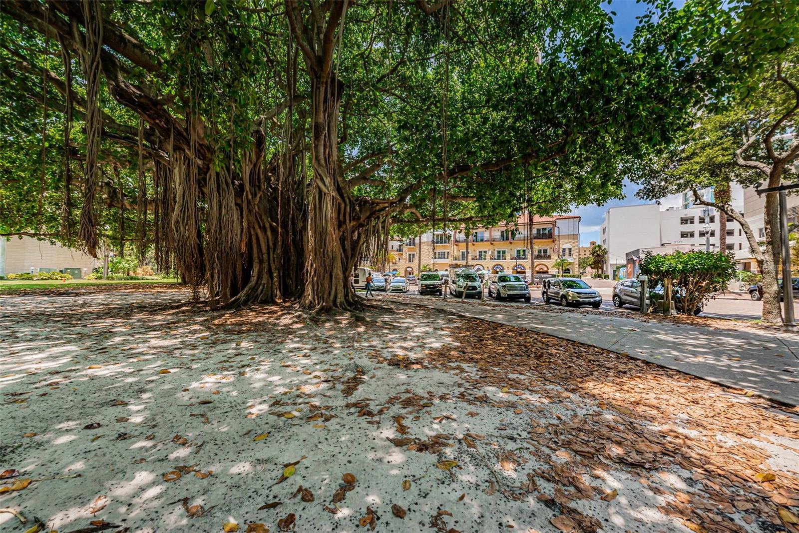 BAY SHORE REV - Residential