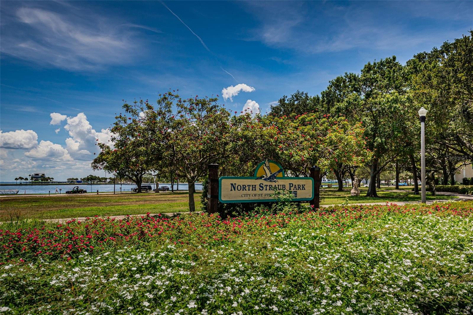 BAY SHORE REV - Residential
