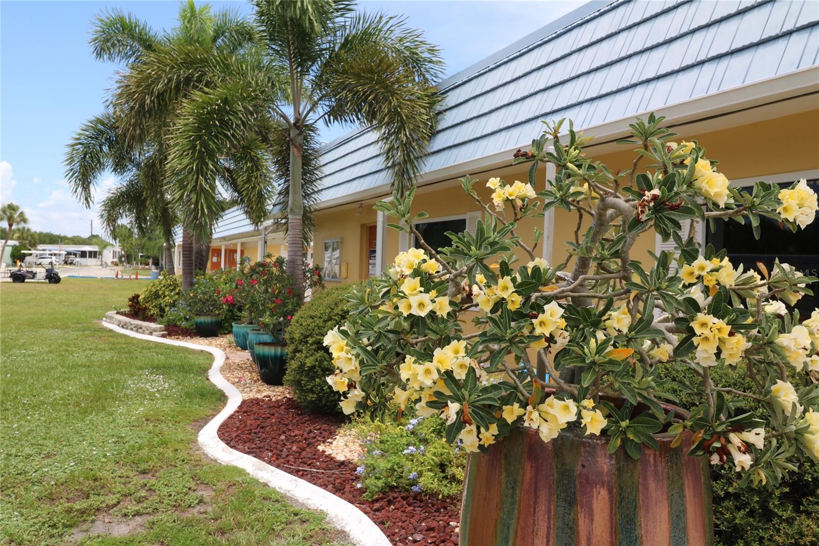CARIBBEAN ISLES RESIDENTIAL COOPERATIVE - Residential