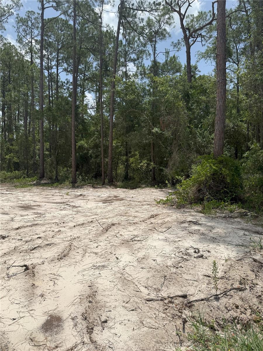DAYTONA NORTH SUB - Land