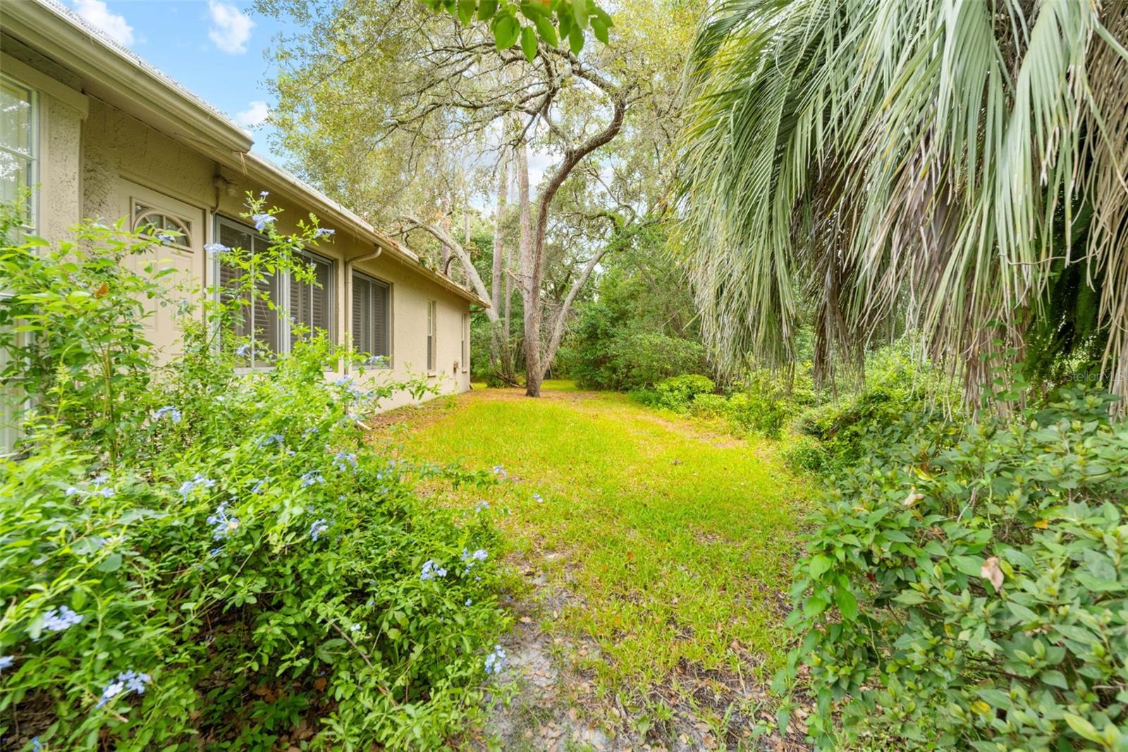 TIMBER PINES - Residential