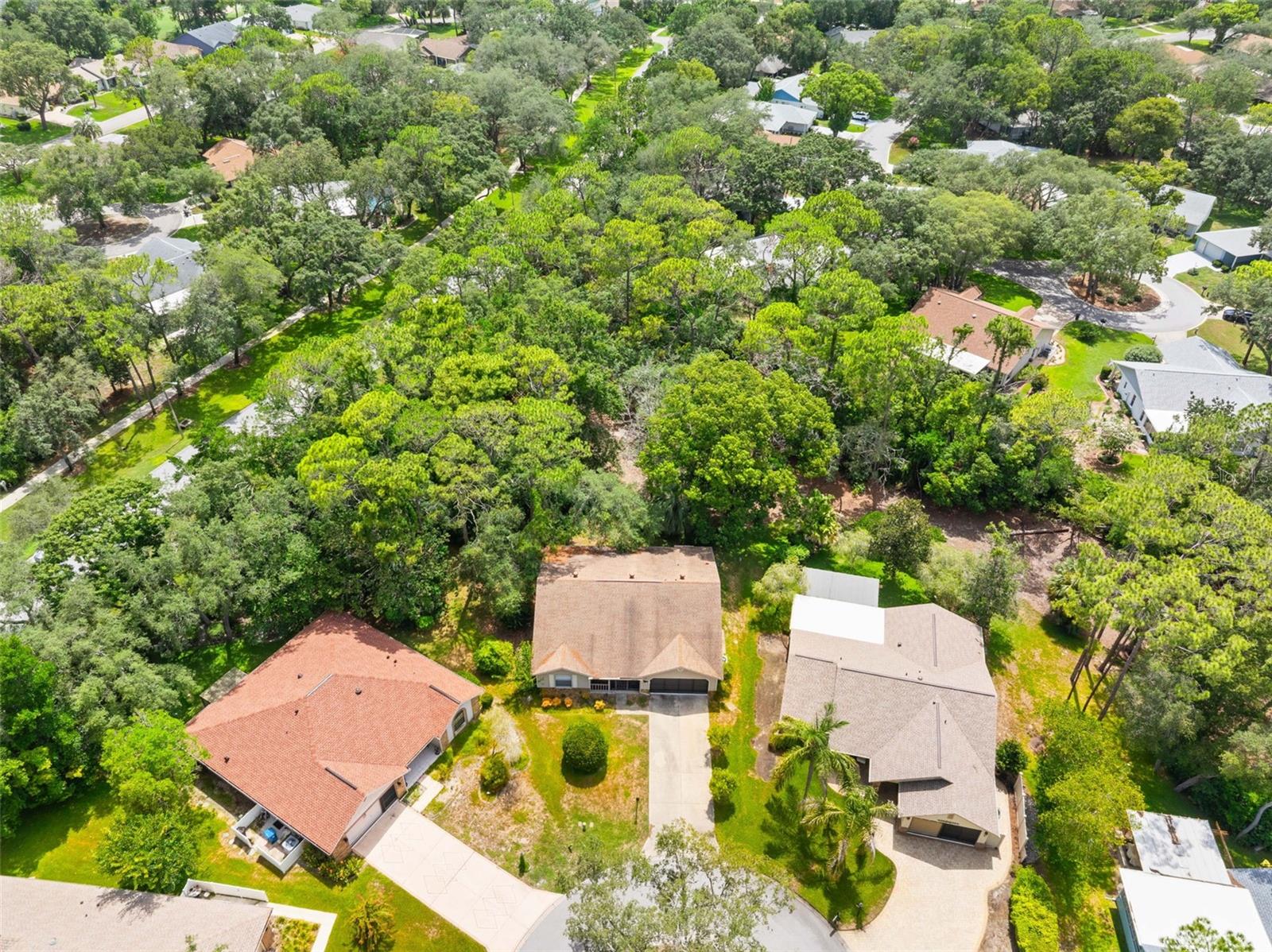 TIMBER PINES - Residential