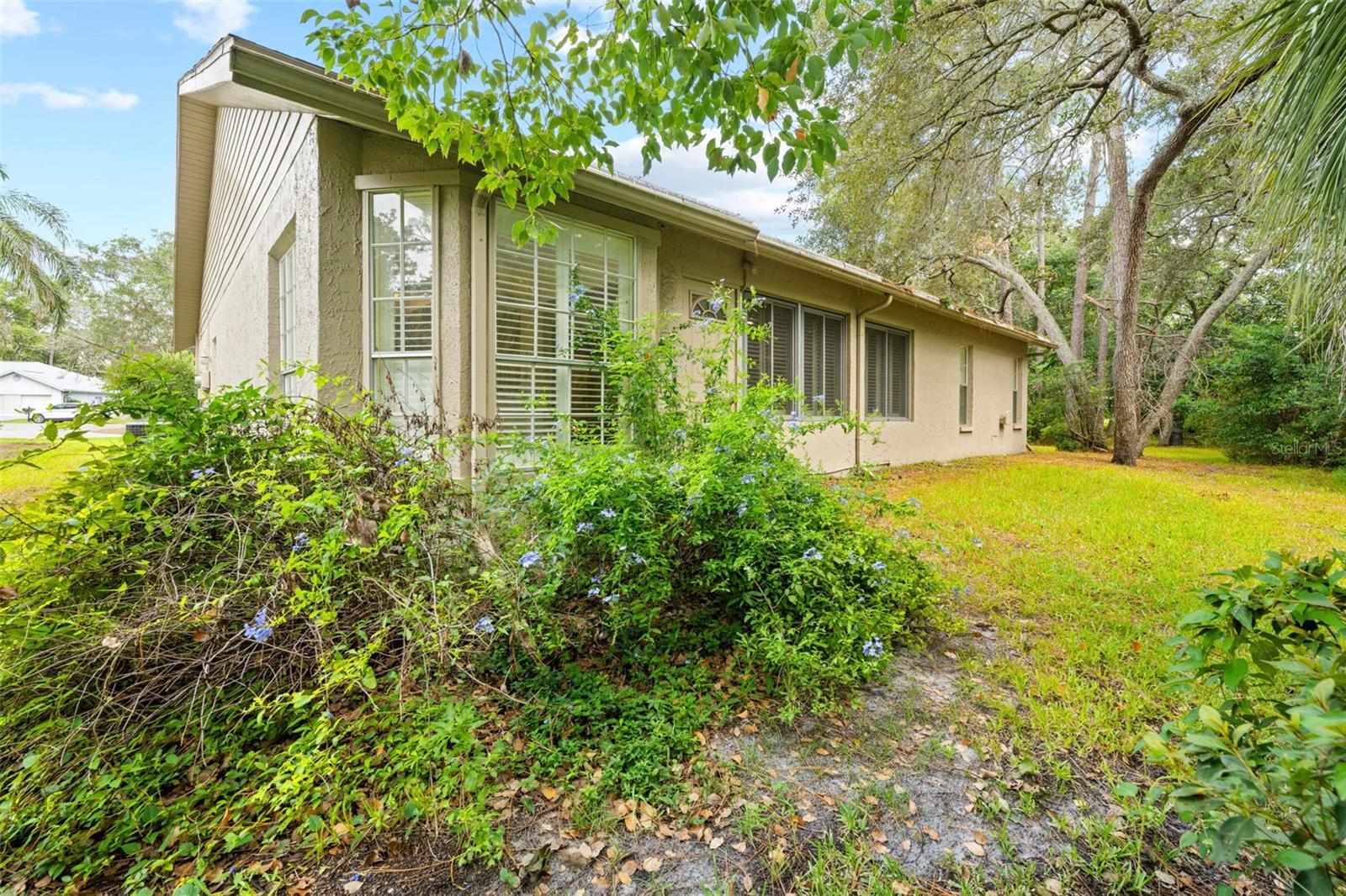 TIMBER PINES - Residential