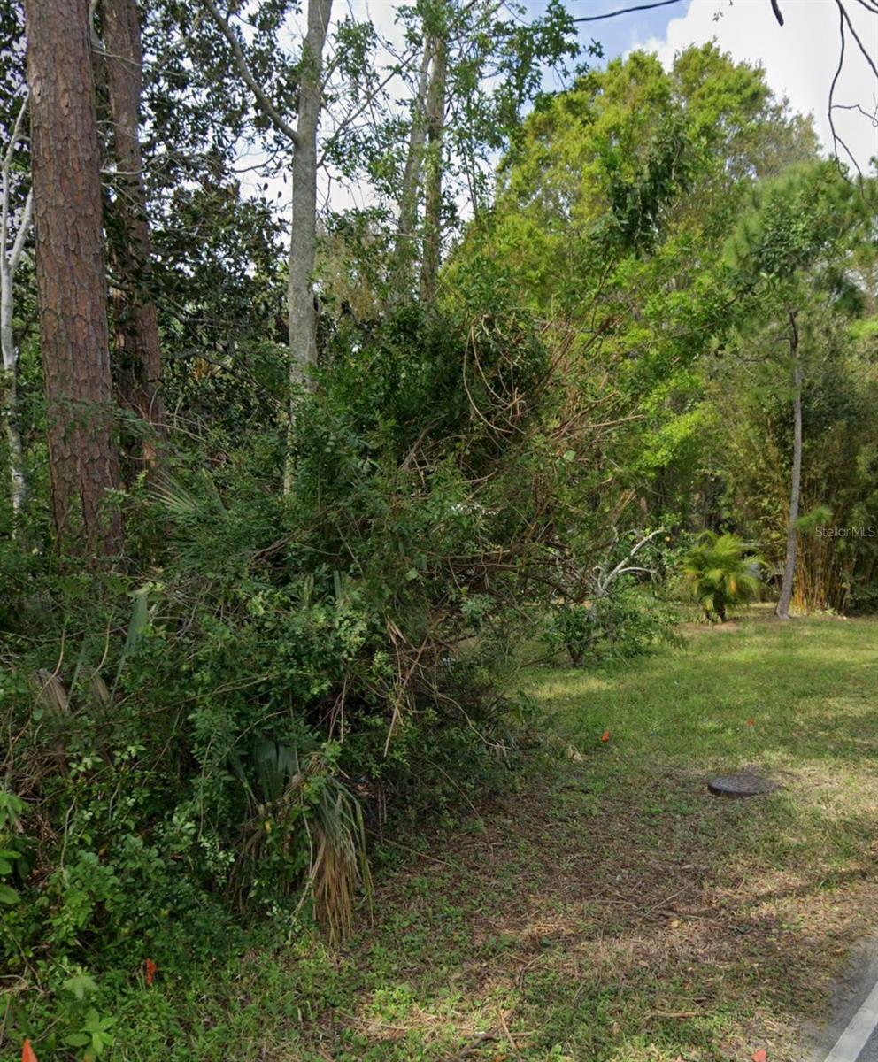 3542 - DUNLAWTON (6337-01) - Land