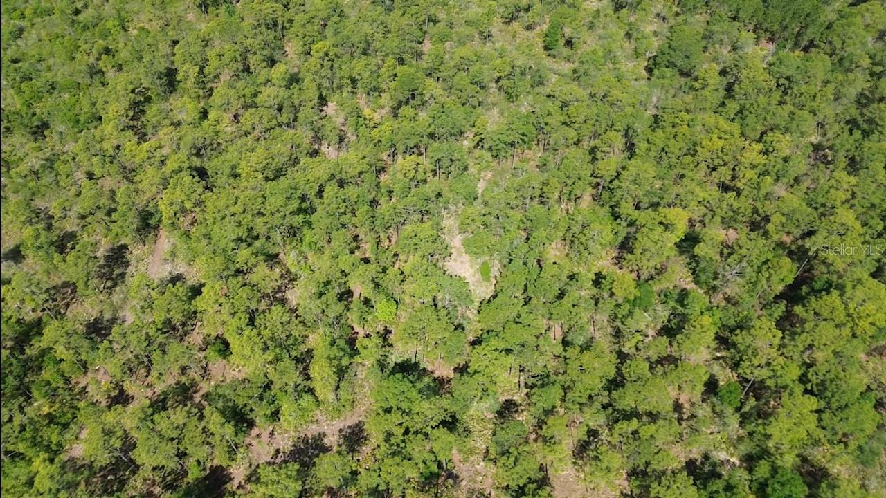 THE MCKOY LAND CO SUB - Land