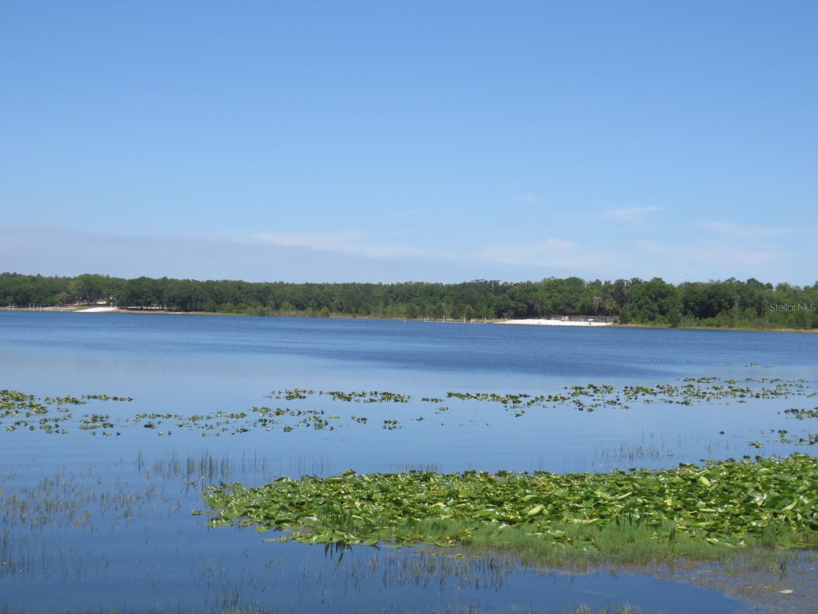 WOODS & LAKES - Residential
