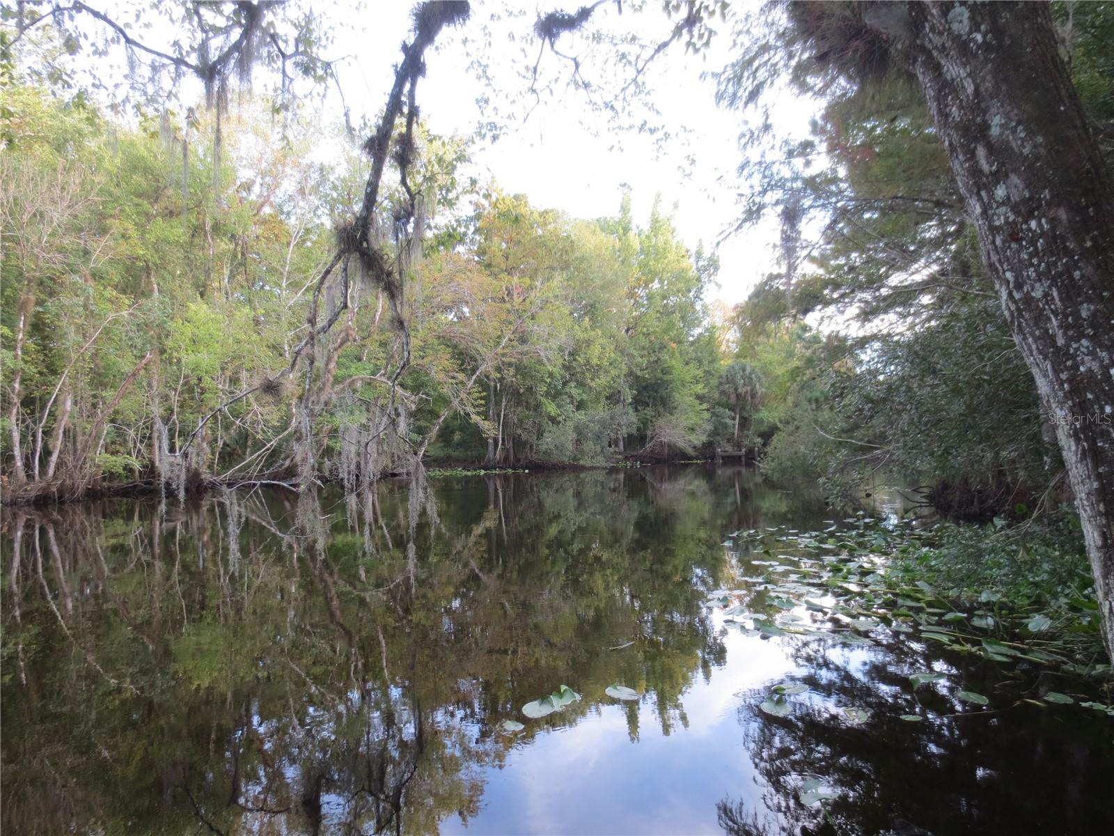WOODS & LAKES - Residential