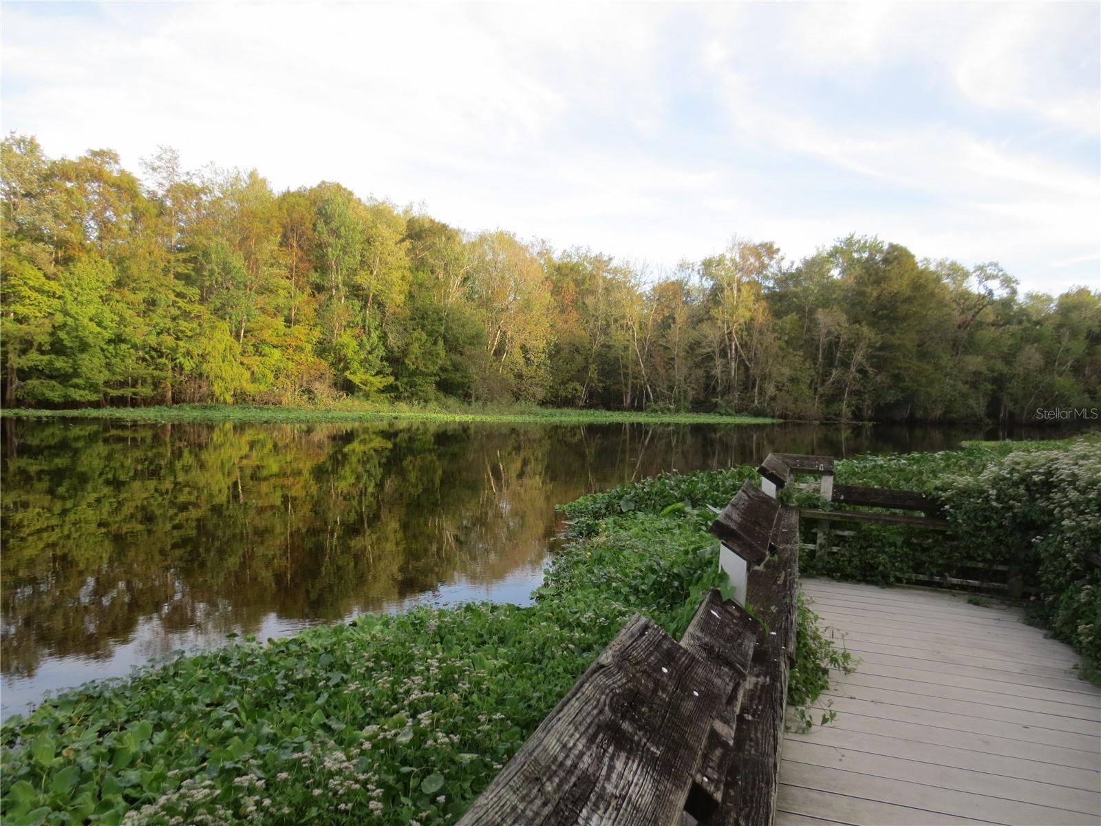 WOODS & LAKES - Residential