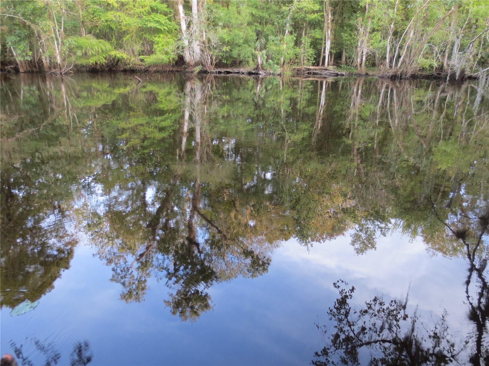 WOODS & LAKES - Residential
