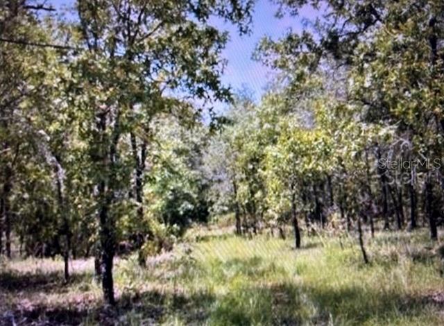 Paradise found to create your very own 10 acre ranch in Williston, Levy County, Florida.  This acreage is gorgeous with mature trees and lush fertile land for gardening and having your farm animals.  Three sides of this land is fenced already and power lines, Well and Septic are in. 
 Centrally located just south of Hwy 27 and convenient to shopping, dining, health facilities, veterinarian services and cultural events in Chiefland, Gainesville, Ocala, Dunnellon and Williston.  Like to fish and enjoy seafood?  Cedar Key on the Gulf of Mexico is only 45 minutes away.  This property could be a dream come true for you and your family.  Ask for our brochure and video tour today.