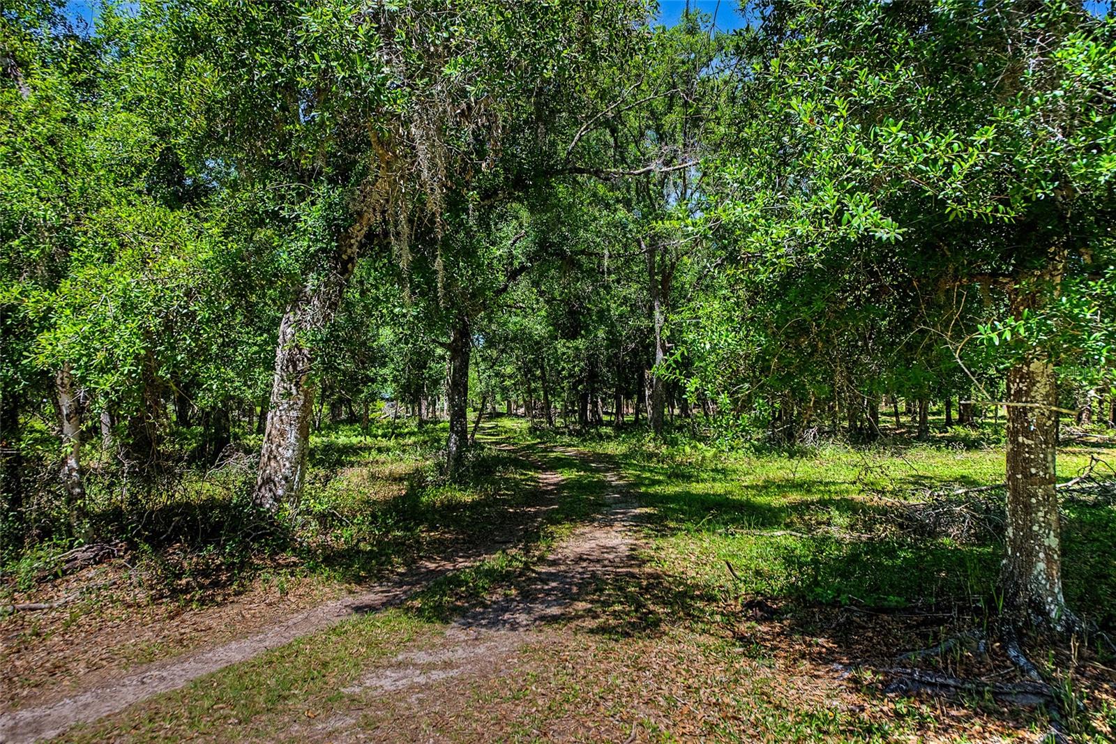 SARASOTA - Residential