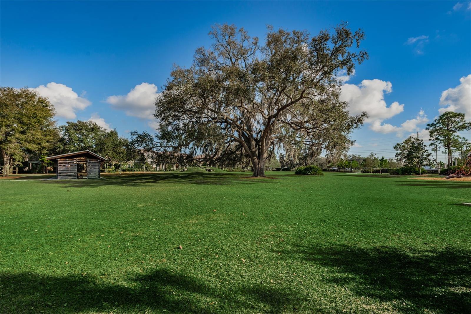 STARKEY RANCH VILLAGE 1 PH 3 - Residential