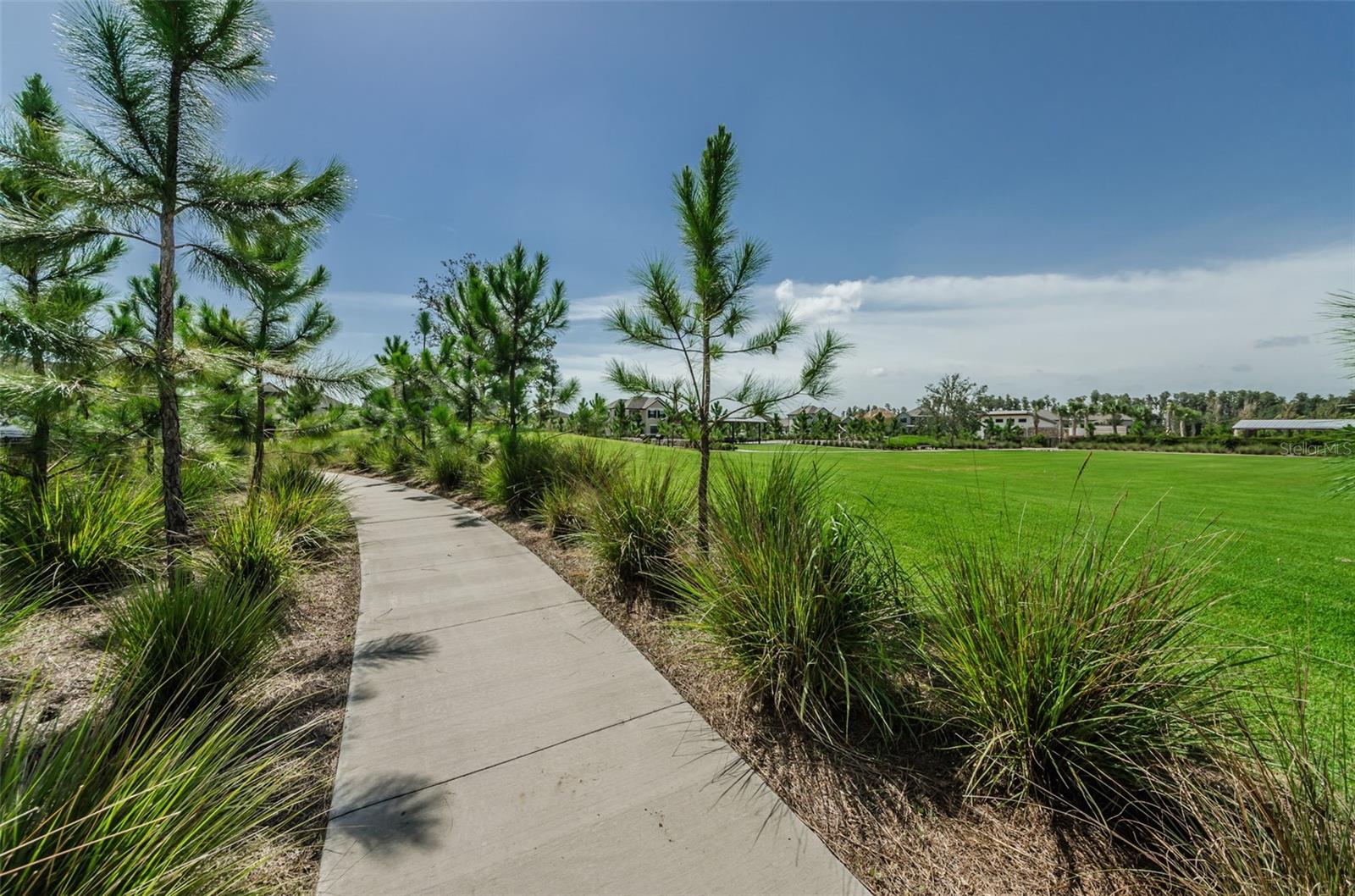 STARKEY RANCH VILLAGE 1 PH 3 - Residential
