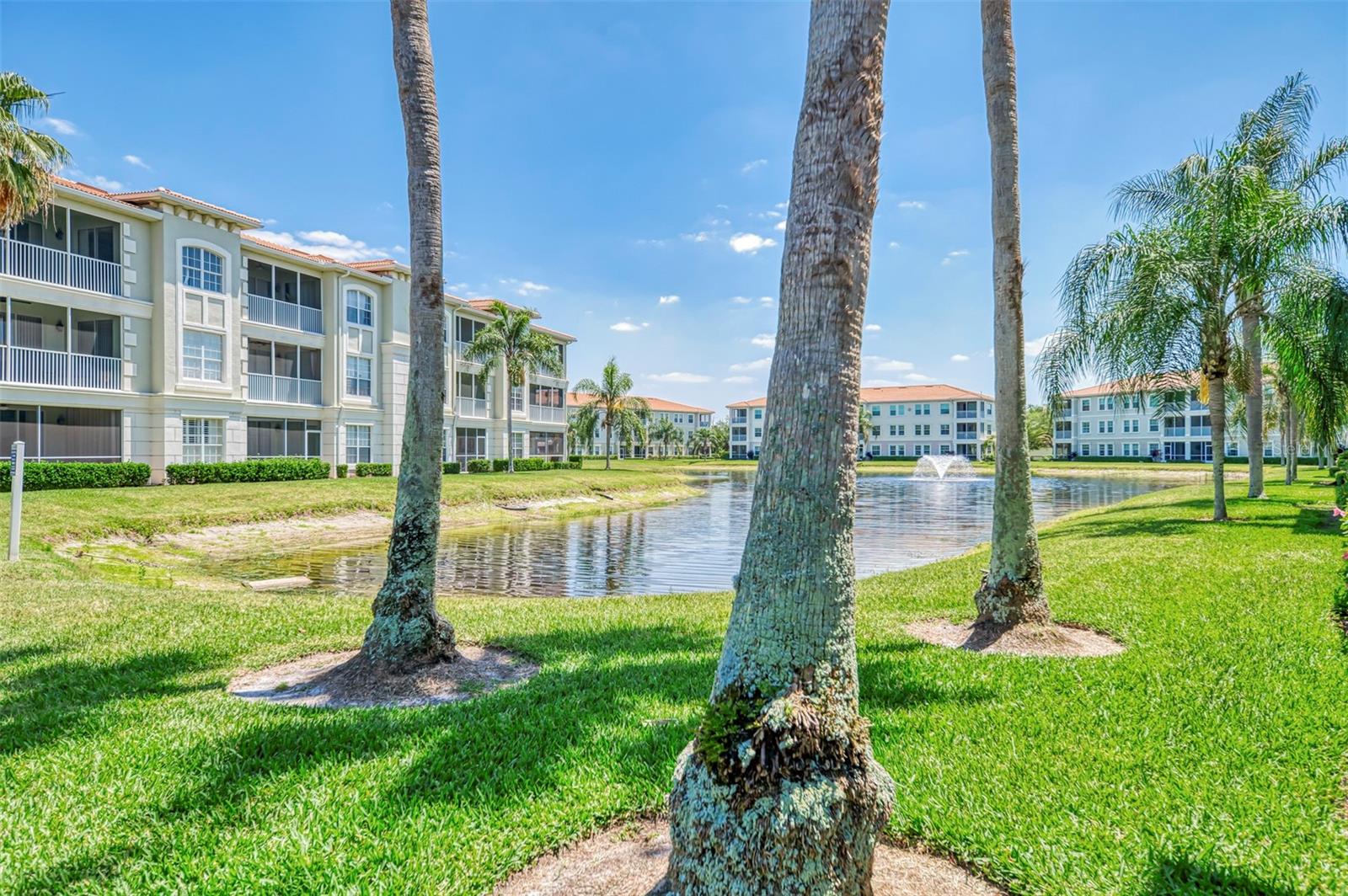SAN LINO - Residential