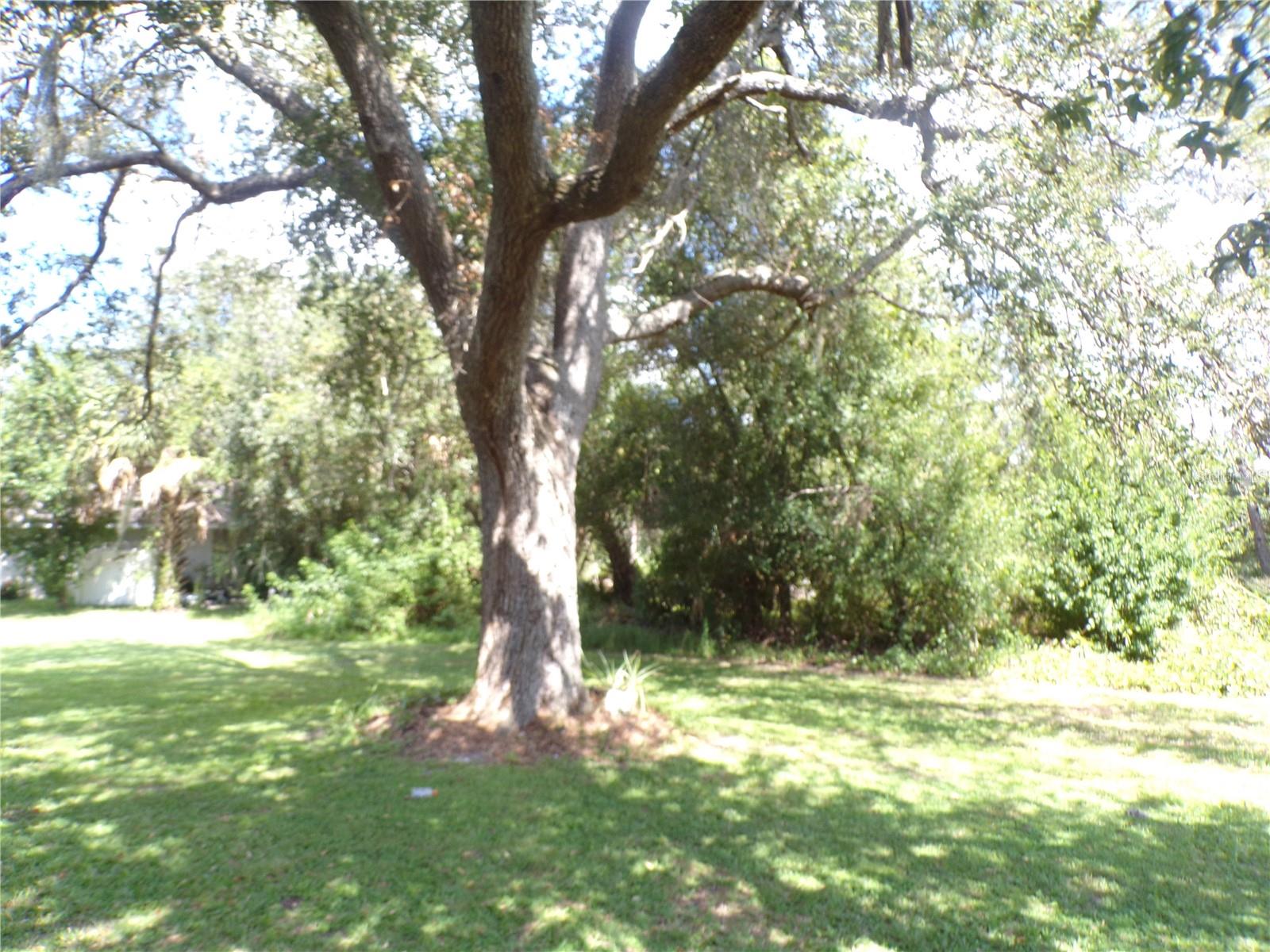 PUNTA GORDA ISLES SEC 23 - Residential Lease
