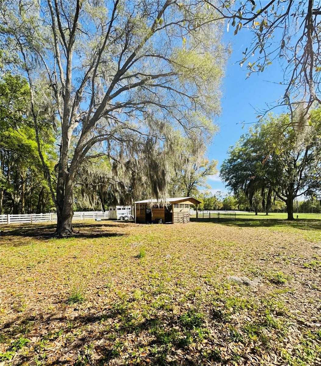 KING RANCH/FLORIDA RANCHETTES - Land