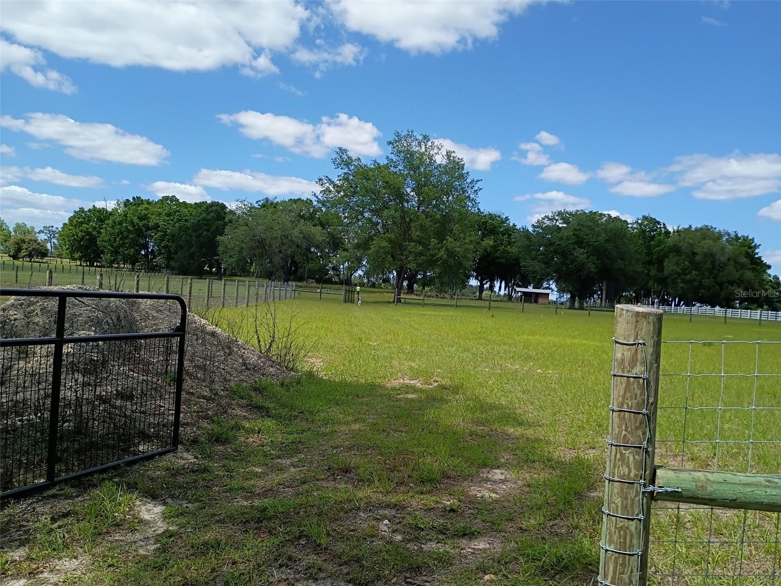 KING RANCH/FLORIDA RANCHETTES - Land