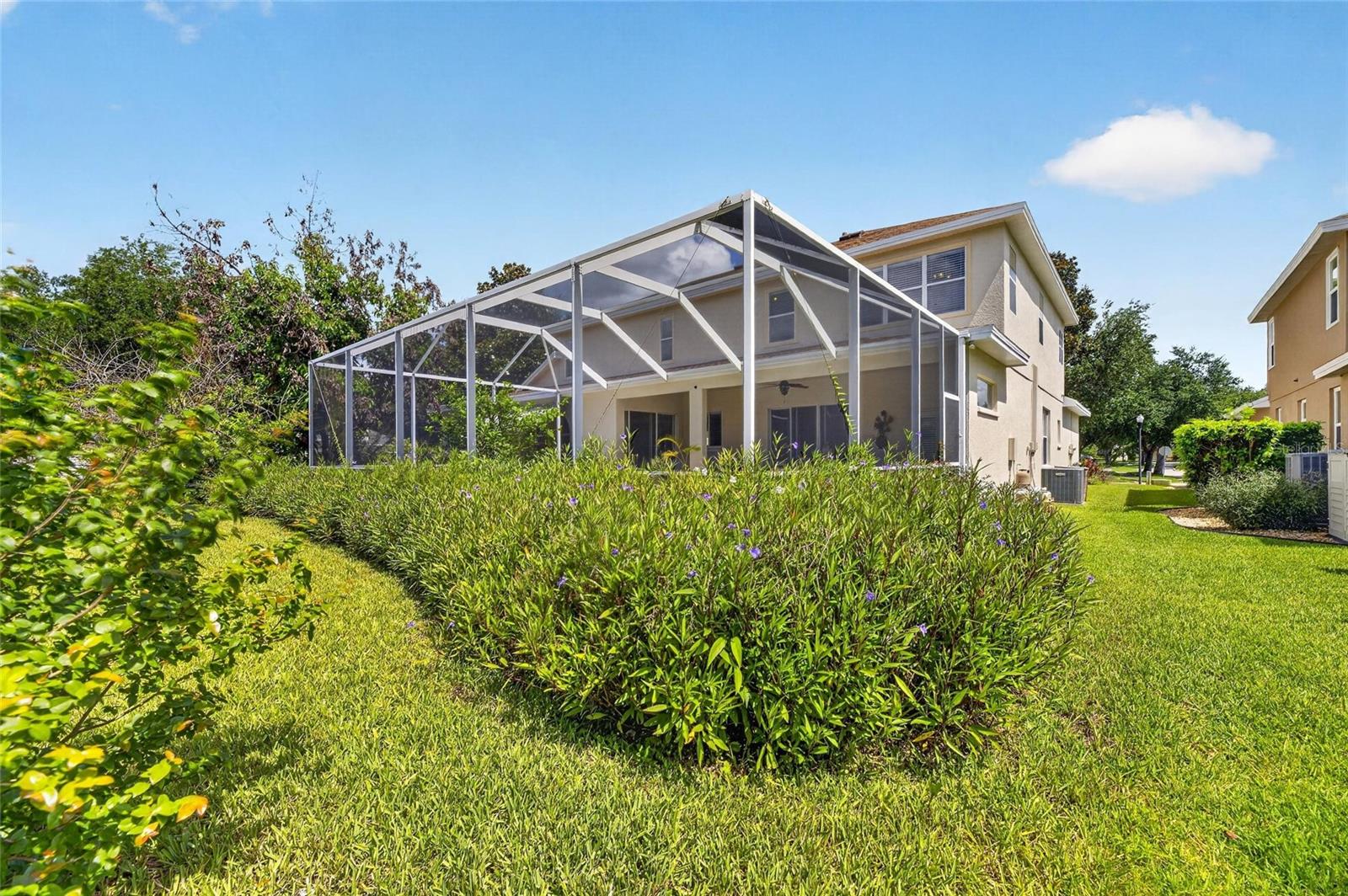 PARK MEADOW - Residential
