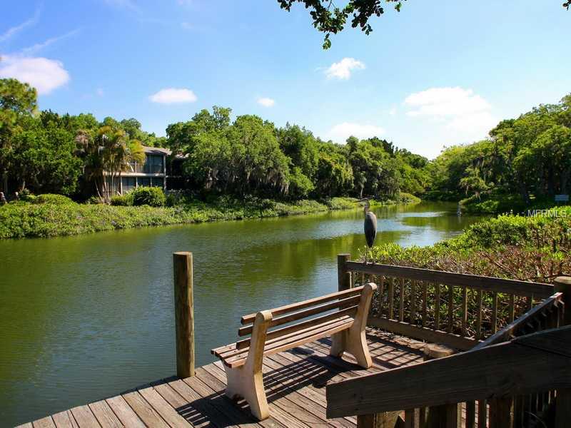 PELICAN COVE XVI - Residential