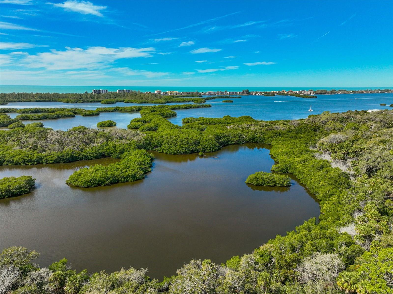 MERIDIAN AT THE OAKS PRESERVE - Residential