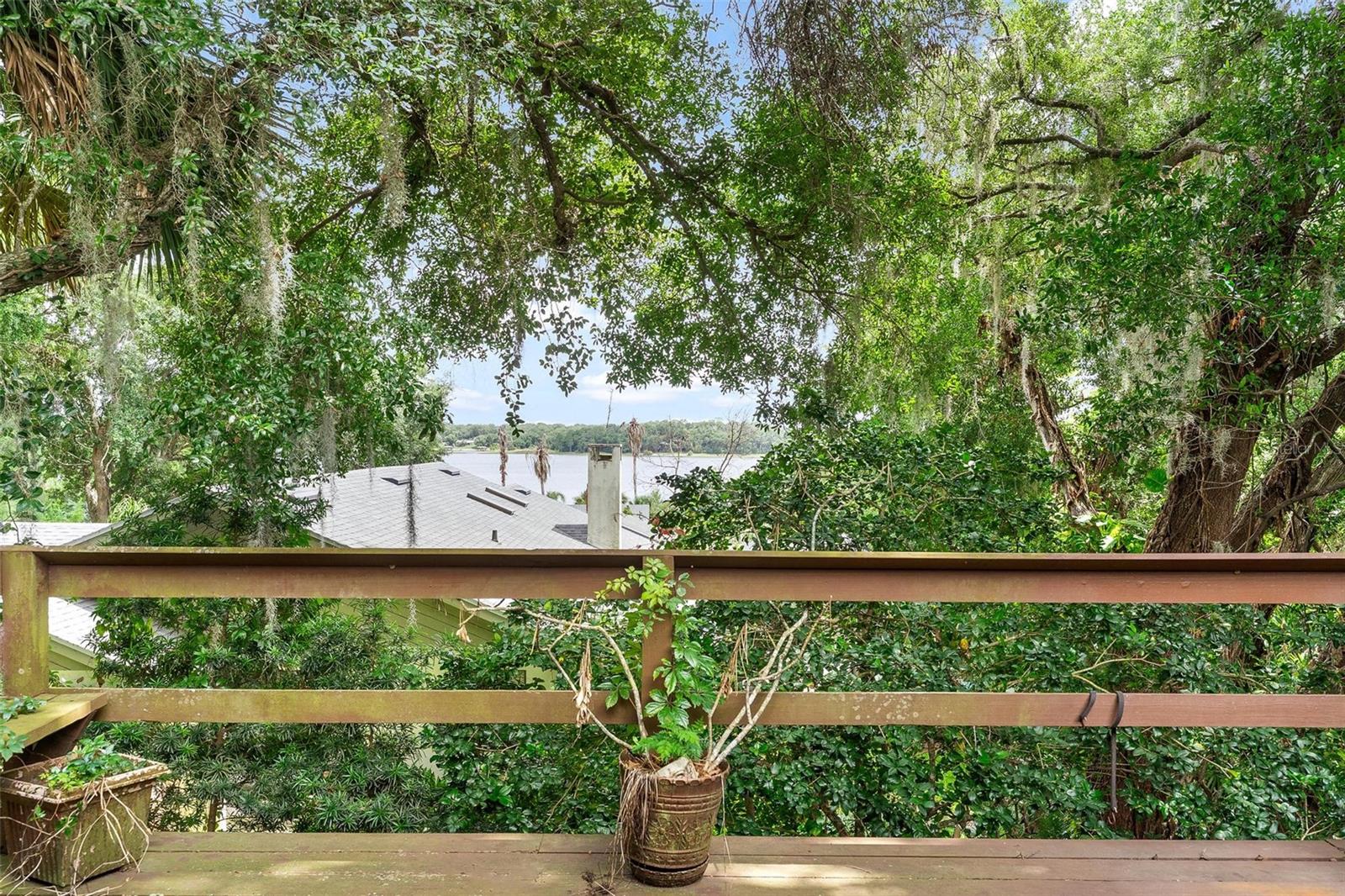 EUSTIS WEST CROOKED LAKE - Residential