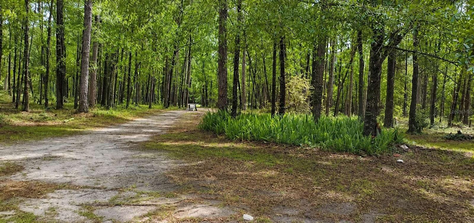 FLEMINGTON ACRES - Land