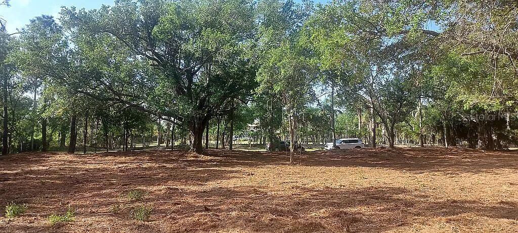 Great opportunity to own this 2.5 acre lot located in the Suncoast Ranches of Port Charlotte. Quiet private road, zoned for horses, no flood zone and no Scrub Jays.  Lot is on a dead-end street tucked away in a country setting yet still close to all the area amenities including shopping, restaurants, historic downtown Punta Gorda plus I-75 & US-41. Come build your estate home with pool on this great building lot.
Show more