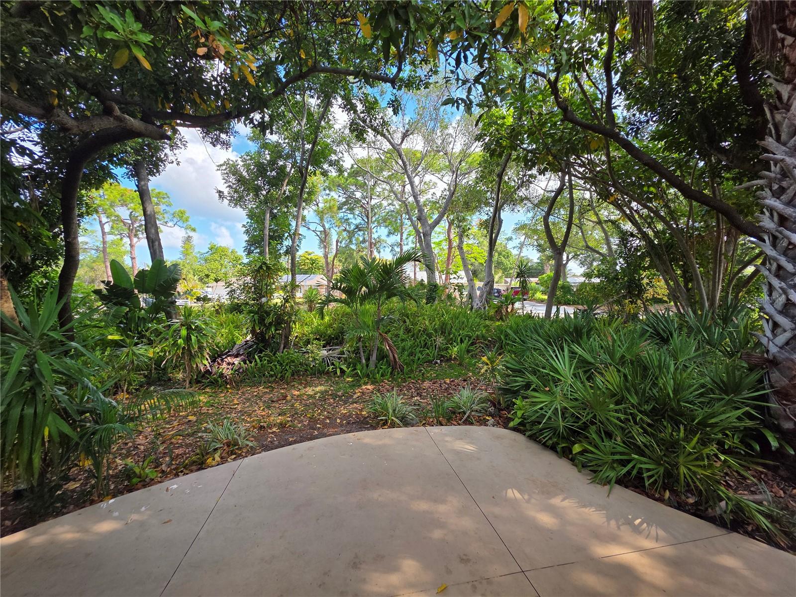 PINE BAY FOREST - Residential
