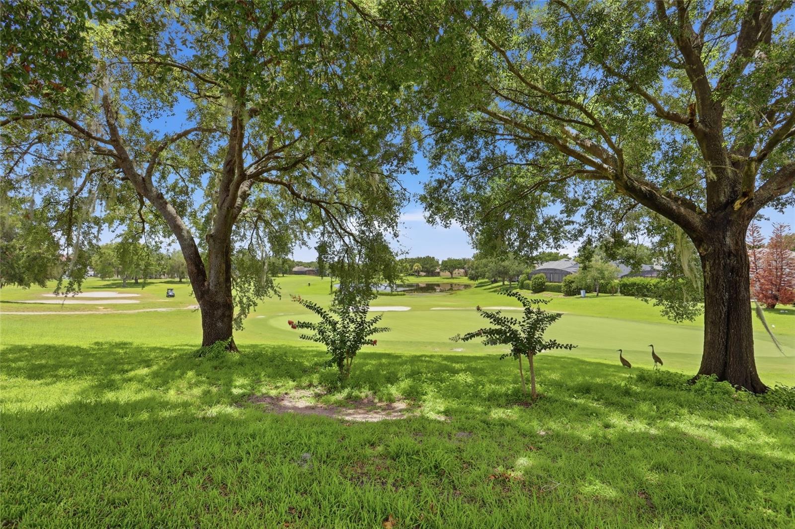 CLERMONT BEACON RIDGE AT LEGENDS PH 02 L - Residential