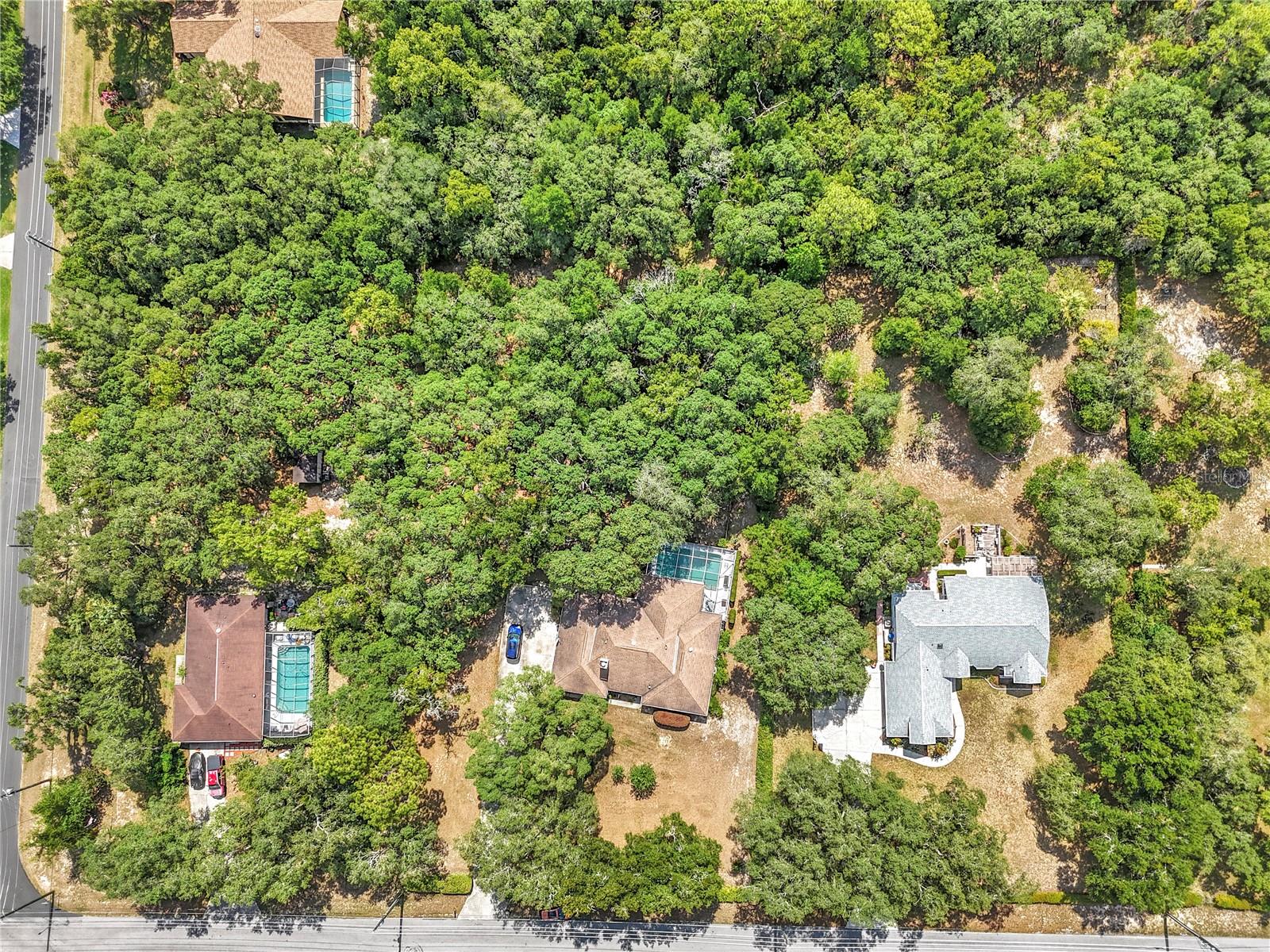 CITRUS HILLS 1ST ADD - Residential