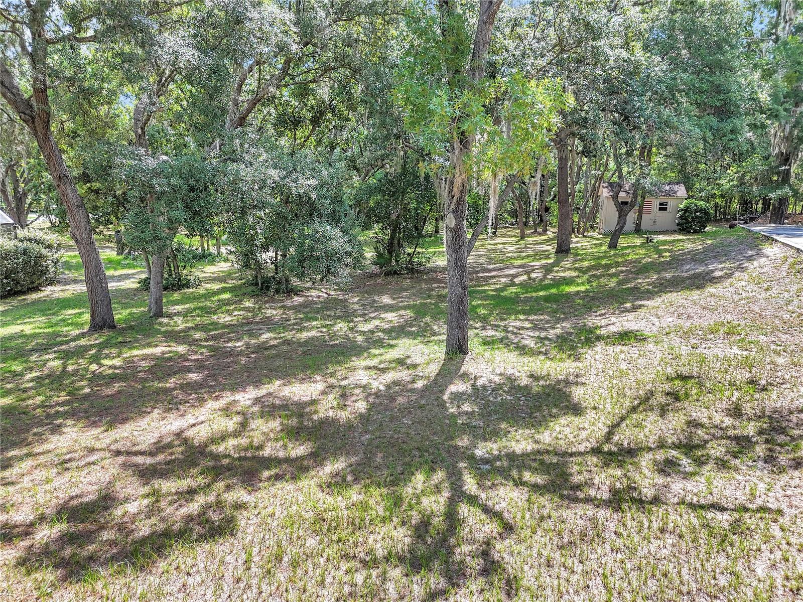 CITRUS HILLS 1ST ADD - Residential