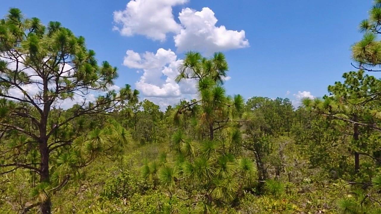 INDIAN LAKE ESTATES - Land
