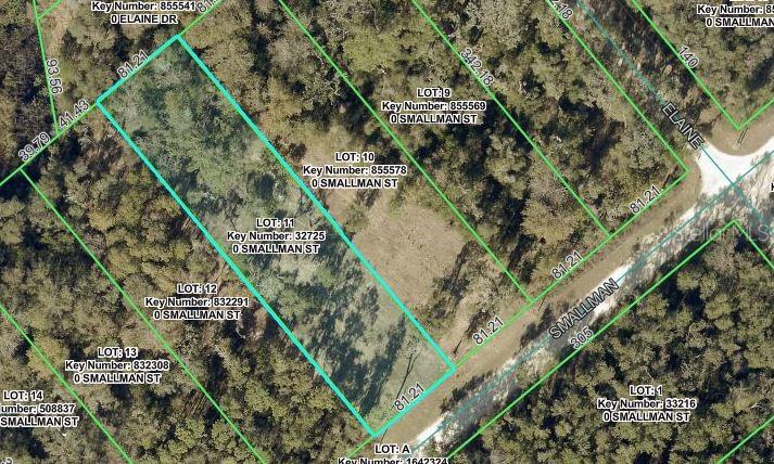 RIDGE MANOR ESTATE - Land