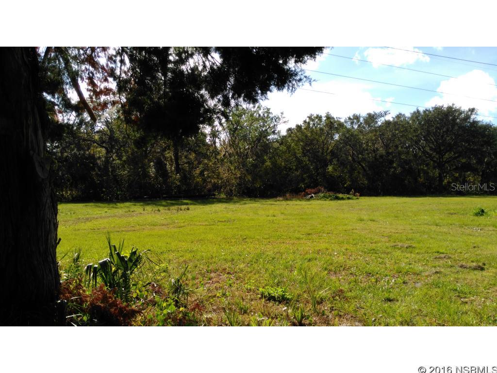 LOCATION..LOCATION..LOCATION...OWNER FINANCING AVAILABLE WITH $30k DOWN- 6% AMORTIZED 20YEARS WITH 10 YEAR BALLOON ... LARGE NEWER METAL COMMERCIAL TYPE BUILDING WITH OVERHEAD DOOR (GREAT FOR PLAY TOYS, STORAGE) ON BEAUTIFUL 13 ACRE PARTIALLY CLEARED PROPERTY PROPERTY 400 FOOT FRONTAGE. APPROX. 1470 FOOT BACK .. RECTANGLE SHAPE  ... CLEARED FRONT  . BACK APPROX. 3.5 ACRES IS RESOURCE CORRIDOR WHICH CAN NOT BE TOUCHED SO NATURAL BARRIER FOR YOUR PROPERTY .... 9.5 ACRES, PARTS ARE LESS DENSE  .. A3 .. HORSES OK. GATE & PARTIAL FENCE. ELECTRIC  ON PROPERTY. ... CLOSE TO MAJOR HIGHWAYS INCLUDING I- 95 & ROUTE 1 YET PRIVATE .... NEIGHBOR TO MASSEY RANCH AIRPARK COMMUNITY (PRIVATE AIRPORT) ... PERFECT !!  .... NO SURVEY  .. VARIANCE NEEDED DUE TO POLES ON PROPERTY TO BUILD HOME NEED 150 FOOT FRONTAGE ... VERY SMALL MAN MADE POND IN CENTER...2 SMALLER OLD BARNS... PRICED TO SELL ... COMPARE TO: SMALL  80 foot frontage X 125  EDGEWATER BUILDING LOT ... CHECK IT OUT !!; Cleared: Partial ;Water: Available at Site