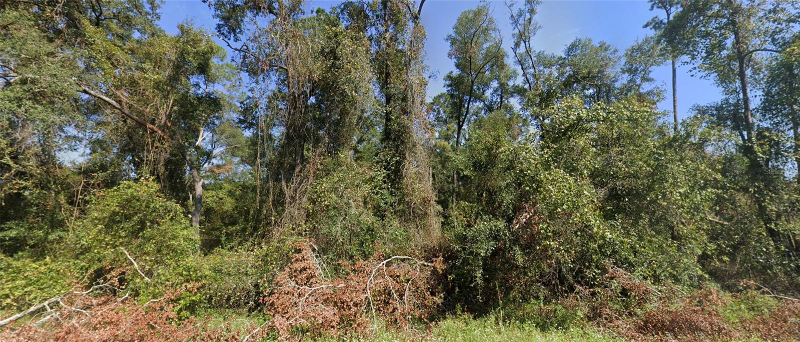 SPRINGVILLE ACRES SUB - Land